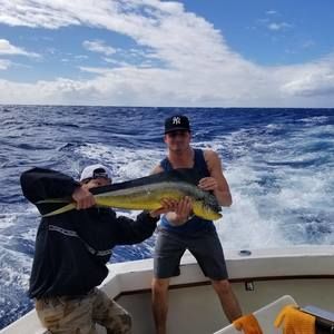 Meet your Posher, Brian